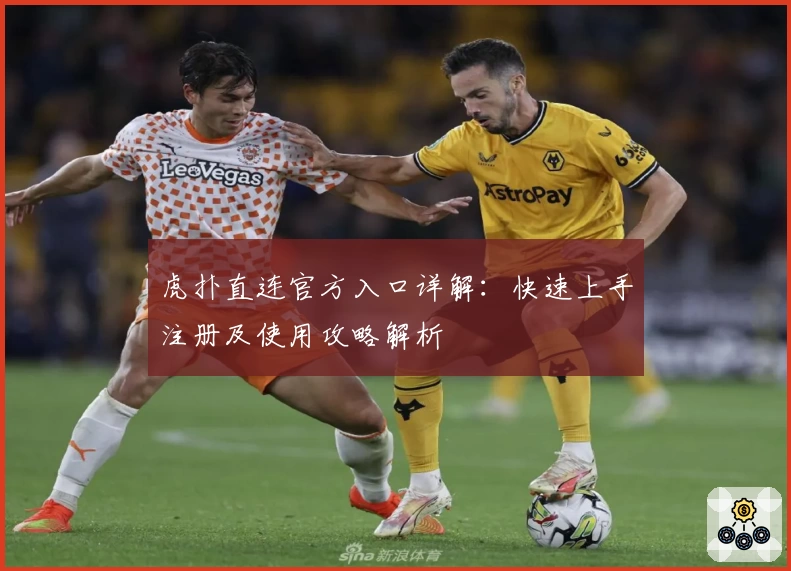 虎扑直连官方入口详解：快速上手注册及使用攻略解析