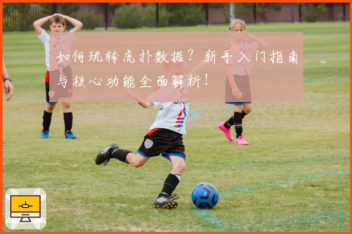 如何玩转虎扑数据？新手入门指南与核心功能全面解析！