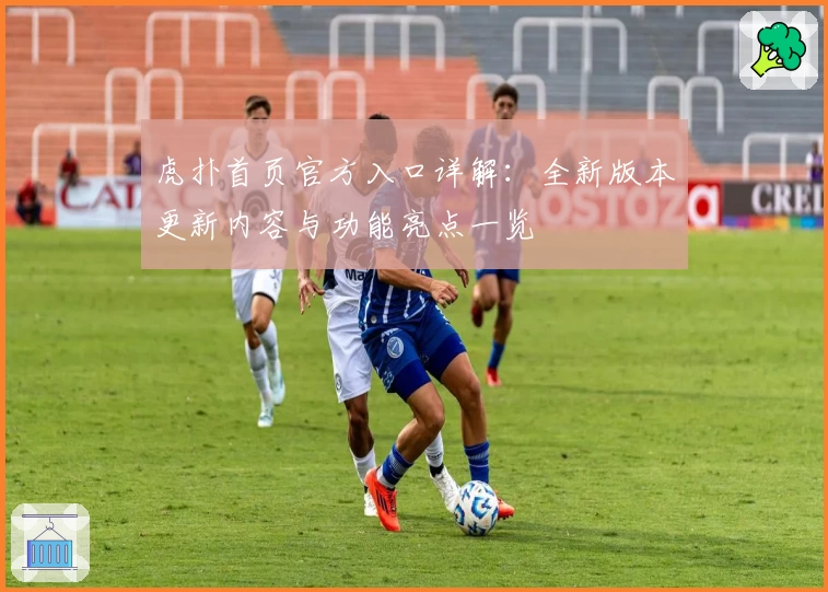 虎扑首页官方入口详解：全新版本更新内容与功能亮点一览