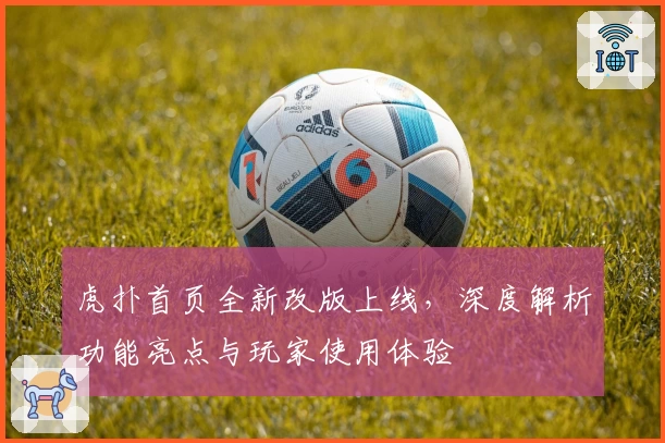 虎扑首页全新改版上线,深度解析功能亮点与玩家使用体验