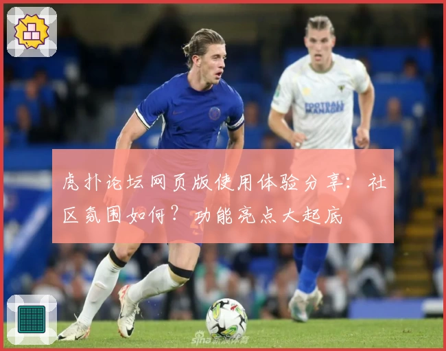 虎扑论坛网页版使用体验分享:社区氛围如何?功能亮点大起底