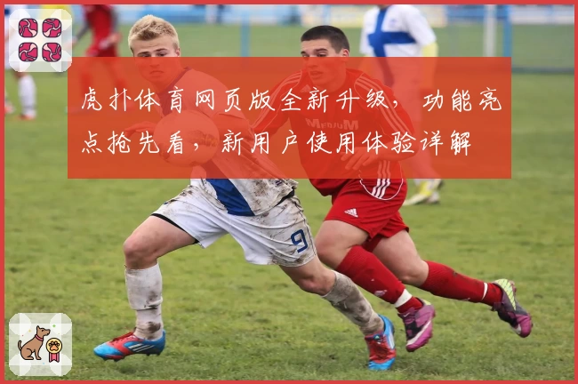虎扑体育网页版全新升级，功能亮点抢先看，新用户使用体验详解